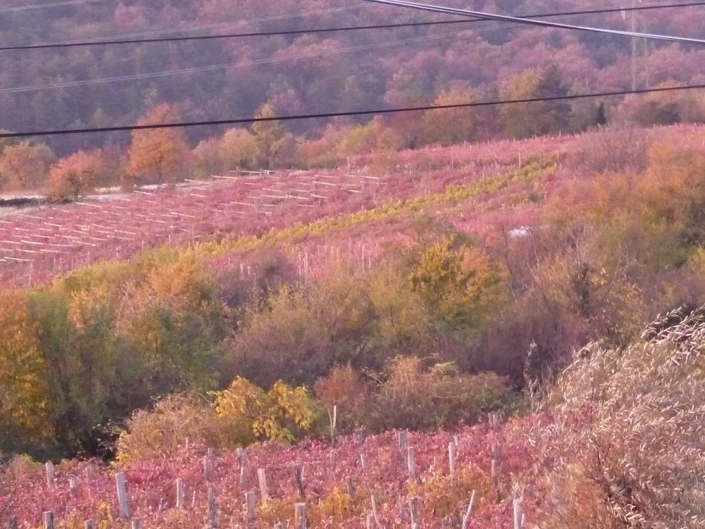 Rozina Vacation House Pliskovica Экстерьер фото
